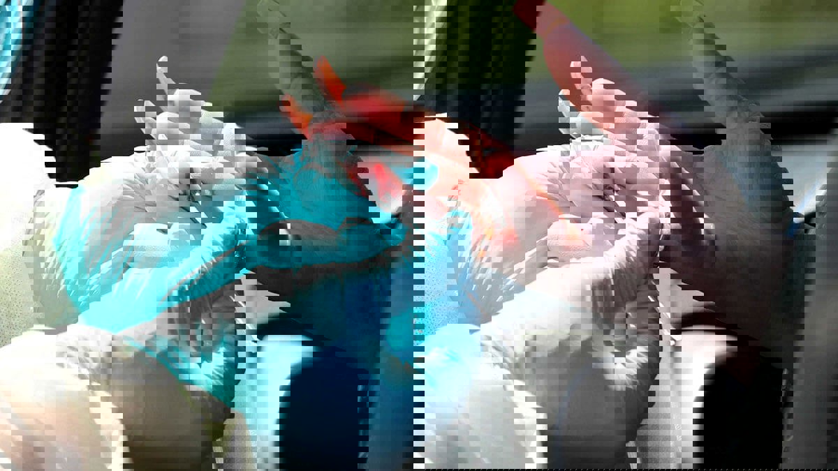 دراسة: فيروس كورونا يحفز الإصابة بالسكري عند الأصحاء