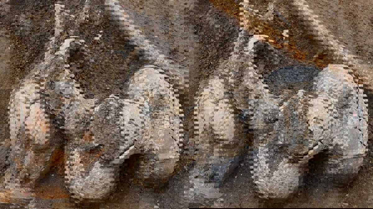 اكتشاف آثار أفيون ترجع للقرن الرابع عشر قبل الميلاد بإسرائيل