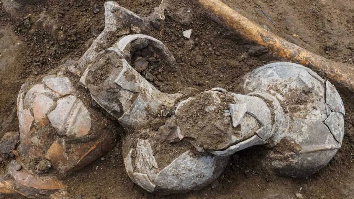 اكتشاف آثار أفيون ترجع للقرن الرابع عشر قبل الميلاد بإسرائيل