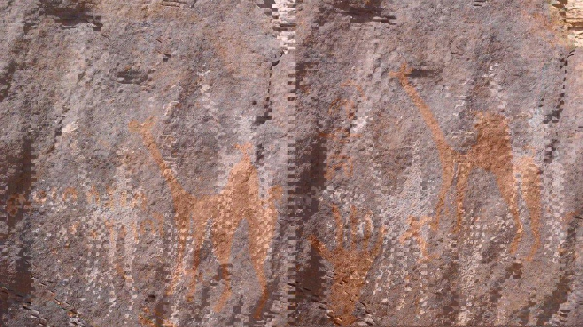 دراسة: منحوتات الجمال الصخرية بالصحراء السعودية تعود إلى 7 آلاف سنة