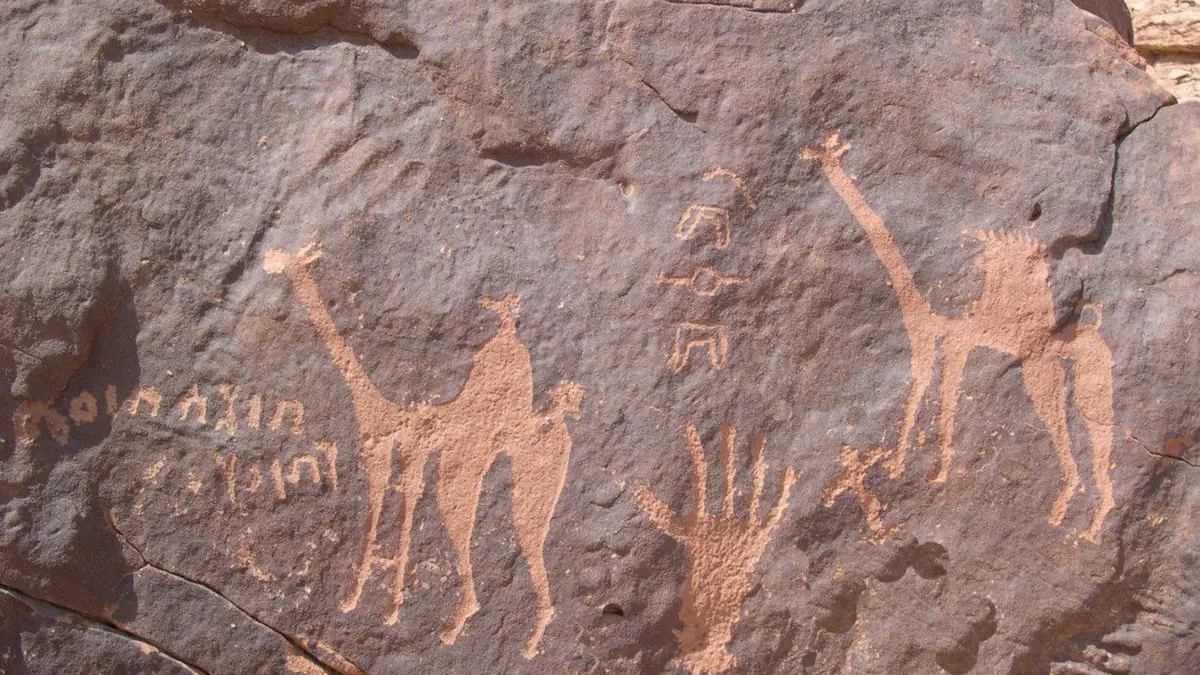 دراسة: منحوتات الجمال الصخرية بالصحراء السعودية تعود إلى 7 آلاف سنة