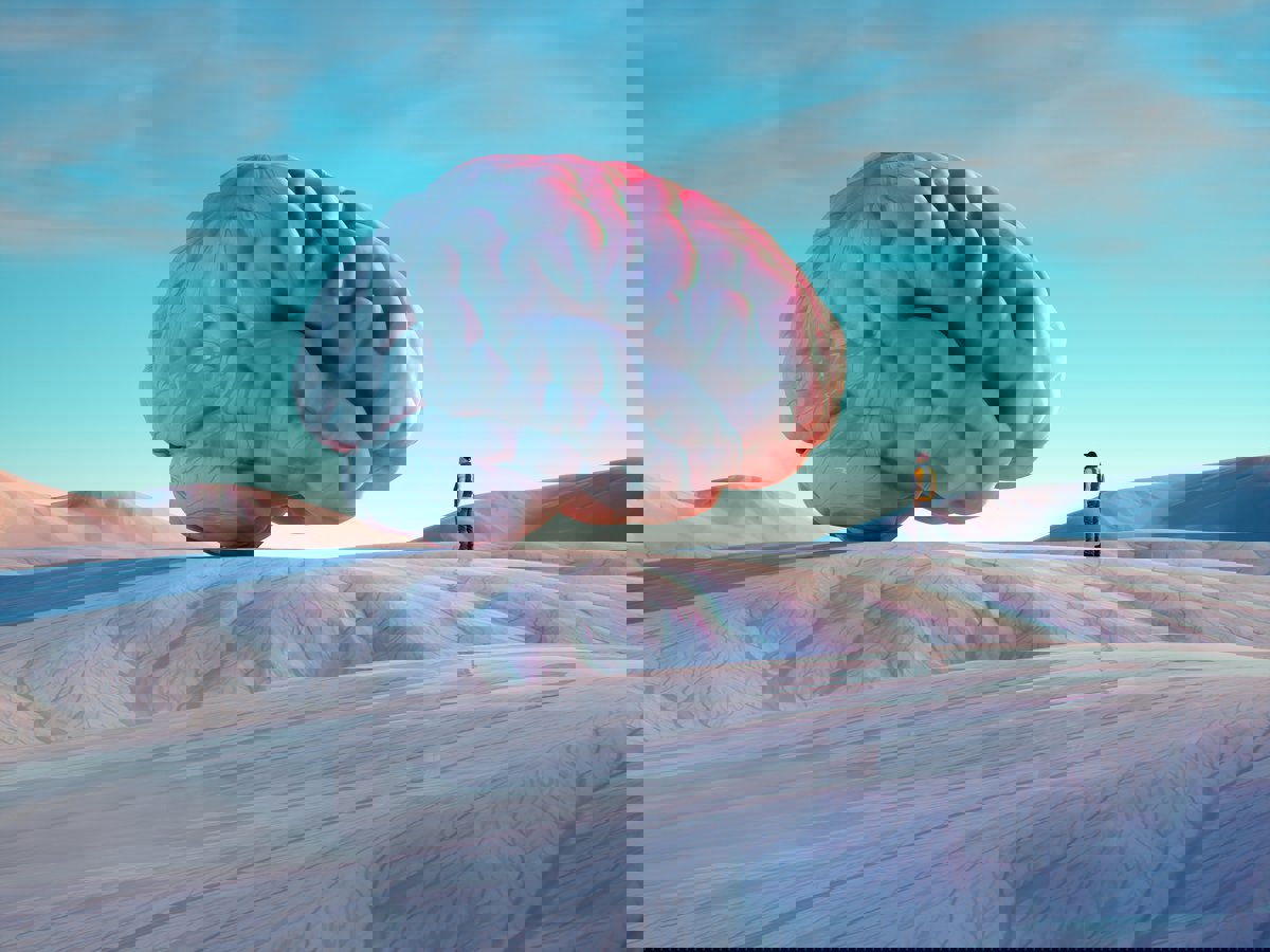 زيادة ملحوظة في حجم الدماغ البشري على مدى 75 عامًا