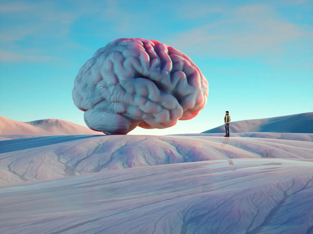 زيادة ملحوظة في حجم الدماغ البشري على مدى 75 عامًا