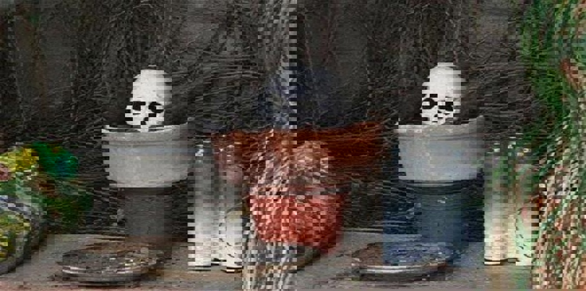 القبض على عصابة استخدمت السحر لإسقاط الفتيات جنسيًا في غانا