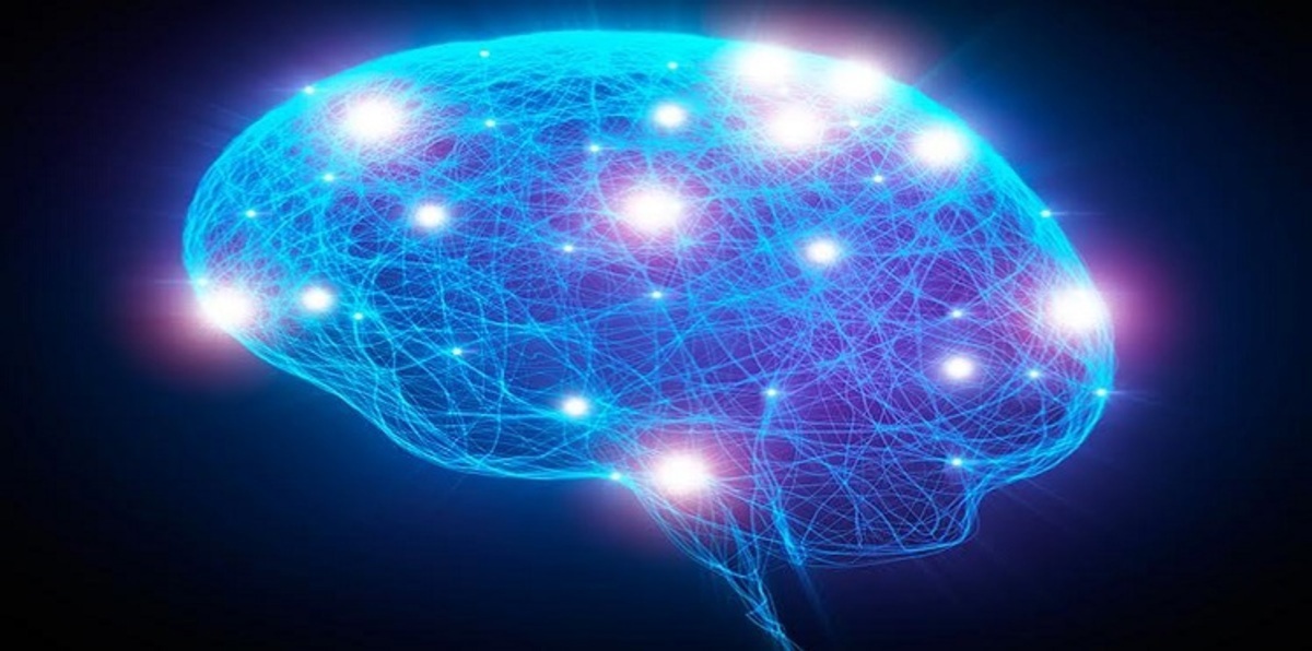 اكتشاف آلية جديدة لتشكيل شبكات الدماغ يفك لغزه