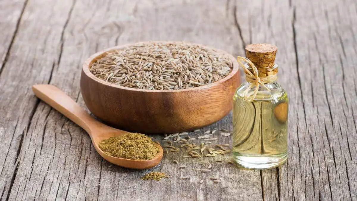 الكمون.. كنز غذائي يقي من أمراض قاتلة