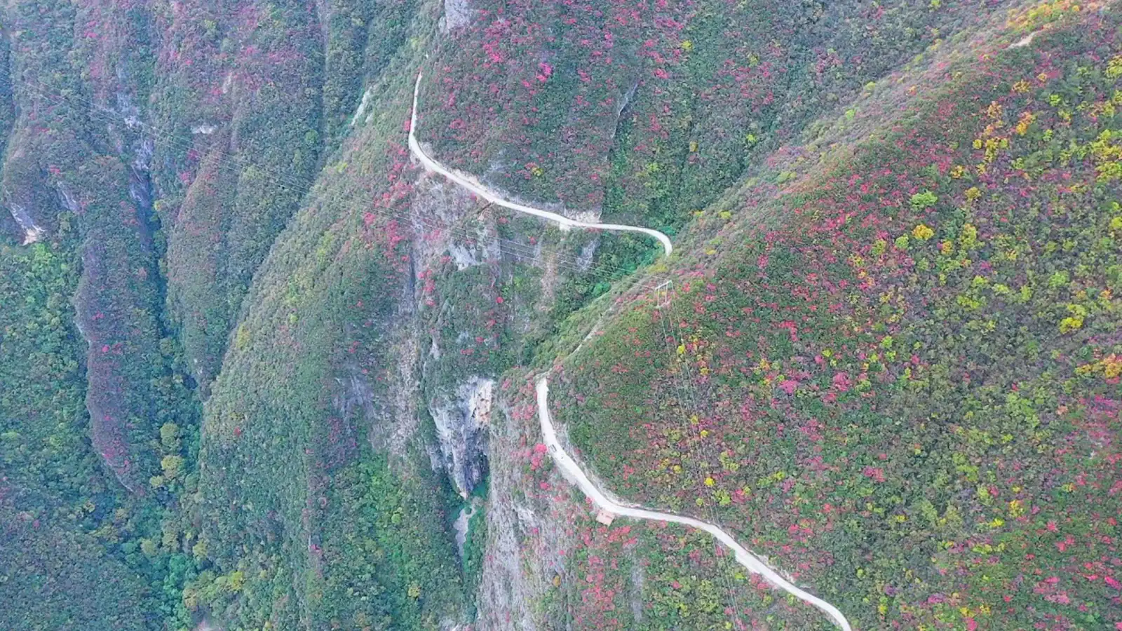 قيادة على حافة السكين.. الطريق الأكثر إثارة في جبال الصين (فيديو)