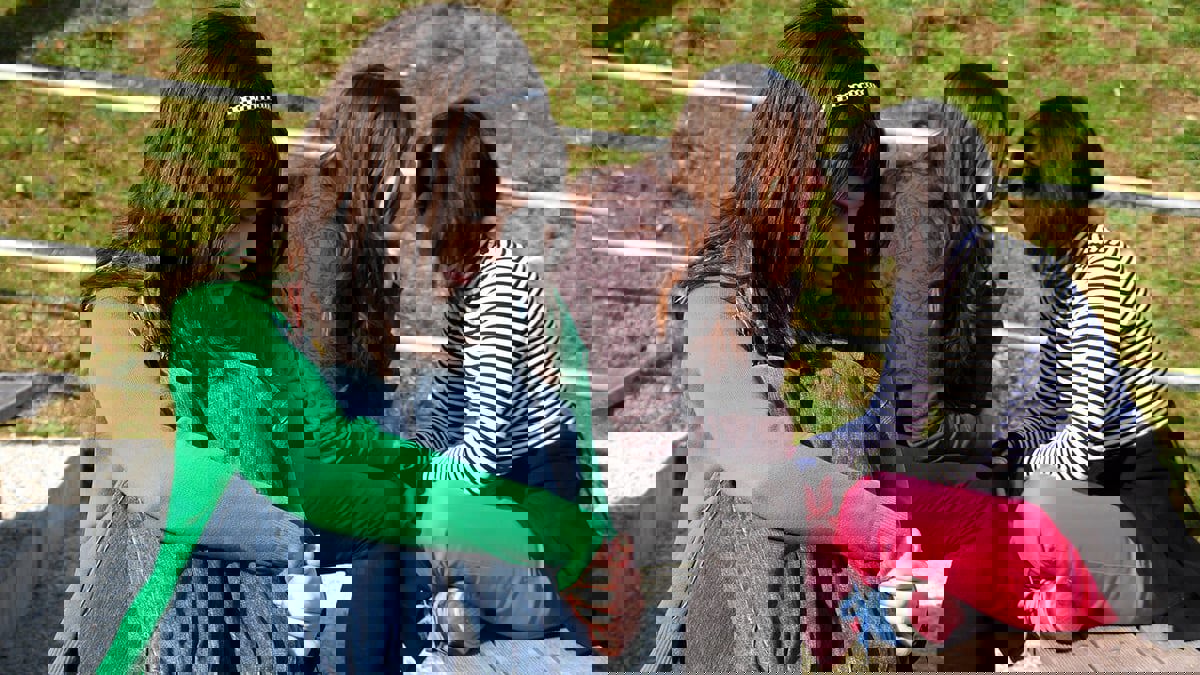 الحوارات "أقل من 5 دقائق" تكفي لكشف سمات الشخصية