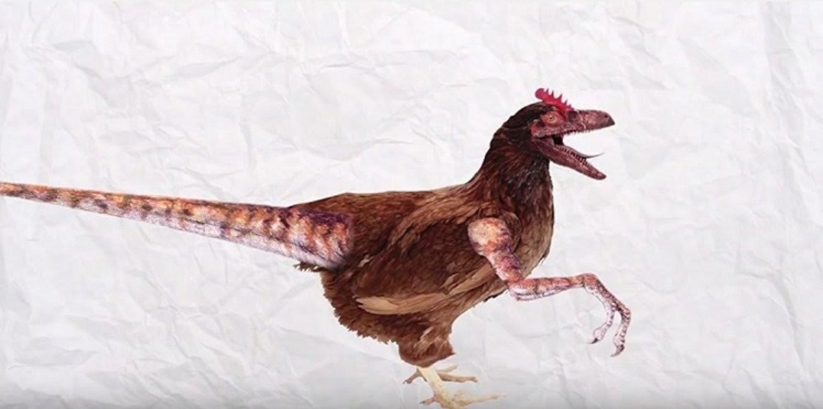 تعرف على مميزات ديناصورات "الدجاج" في العصر الطباشيري؟