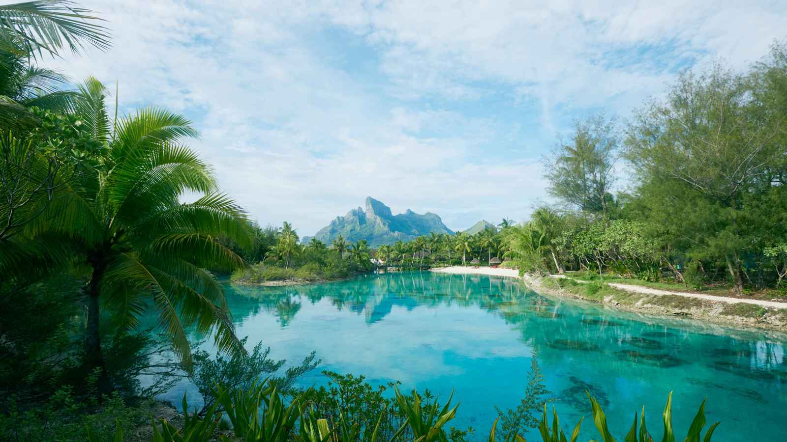 منها بلدان خليجيان.. أفضل الوجهات لـ"سياحة الشتاء"