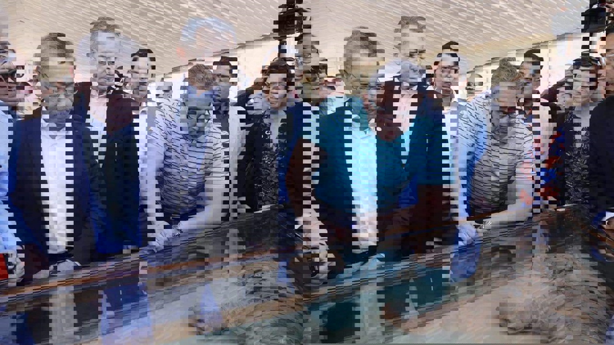 مصر.. العثور  على مومياوات لأشبال أسود في سقارة (صور)