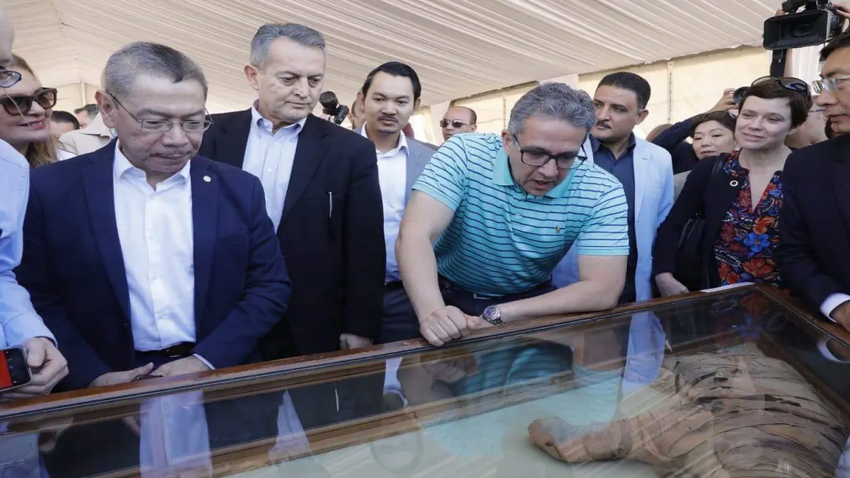 مصر.. العثور  على مومياوات لأشبال أسود في سقارة (صور)