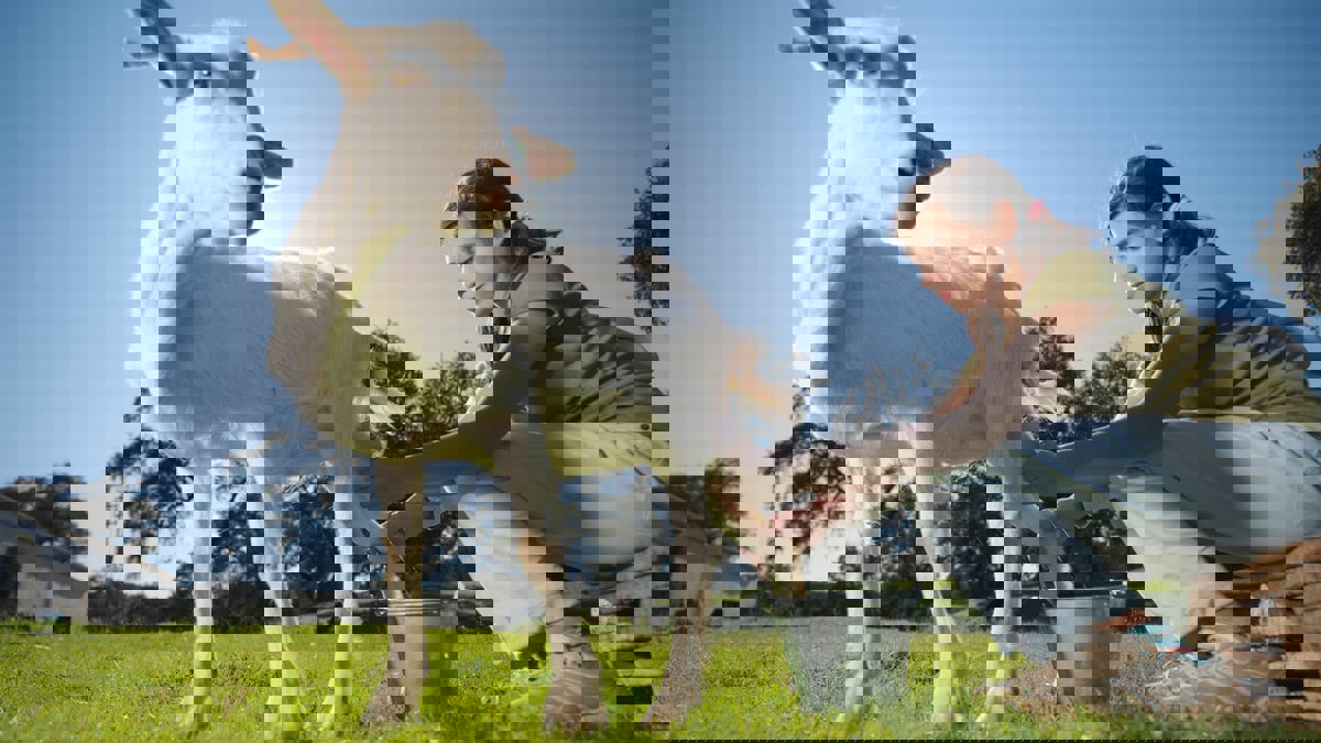 5 أسباب لاستبدال حليب الماعز بحليب البقر