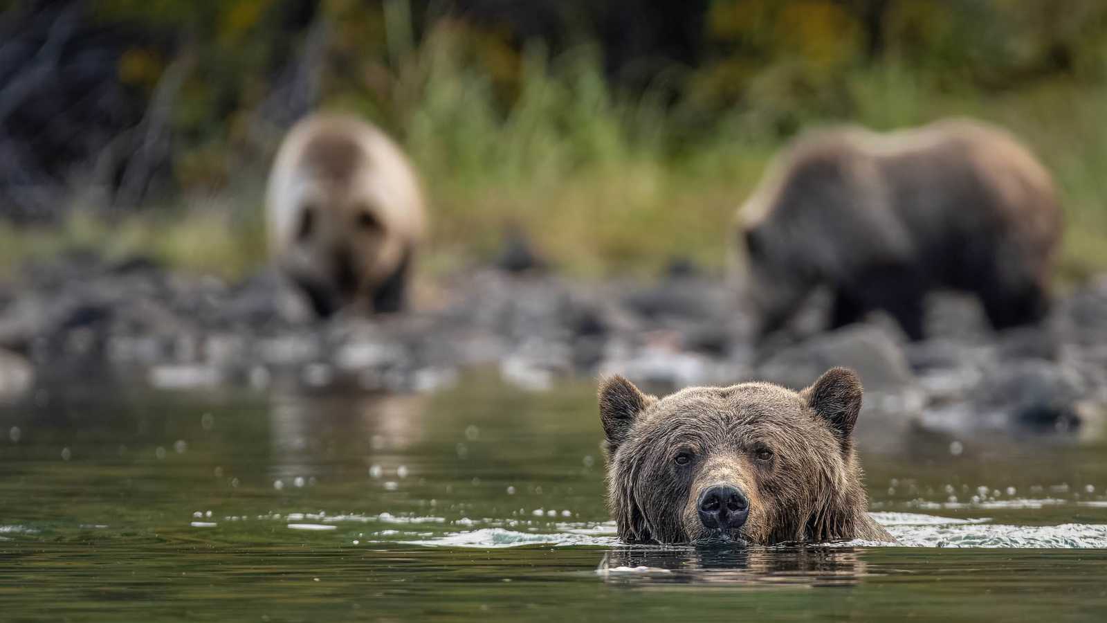 روسيا.. فيديو لـ"كائن غامض" في المياه يثير الذعر والتكهنات