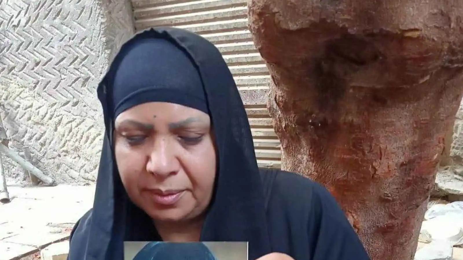 حبس والدة الإعلامية المصرية الراحلة شيماء جمال وإحالتها للمحكمة