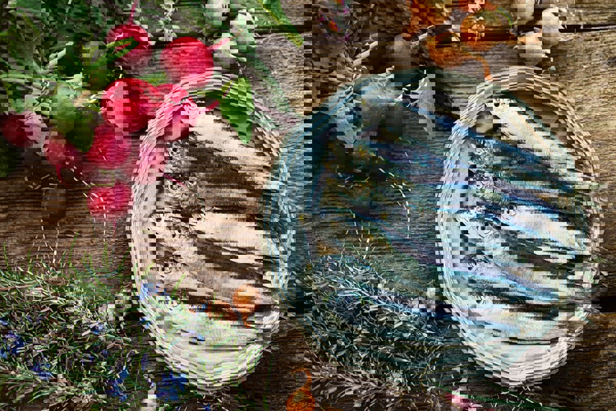 تناول هذه الأسماك قد ينقذ حياة 750 ألف شخص سنويا