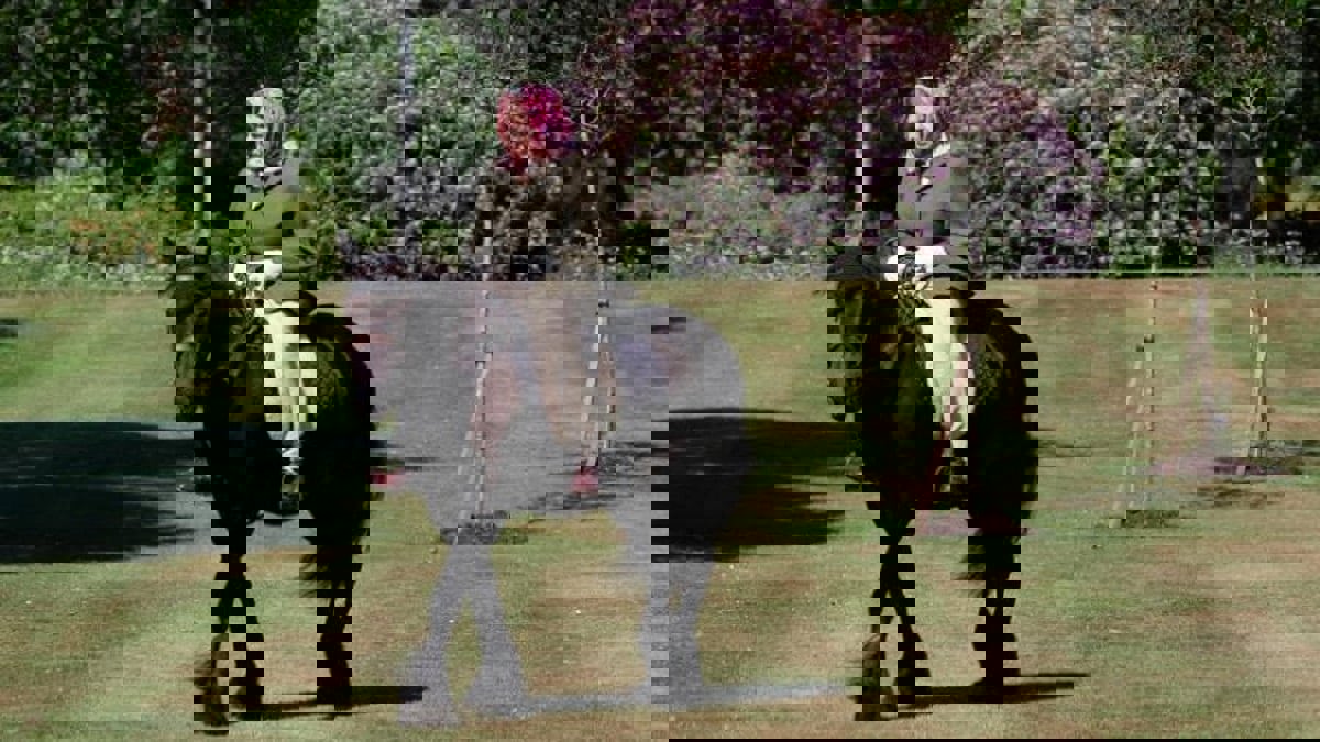 دخيلان يتسللان إلى حديقة الملكة إليزابيث في غفلة من الحراس