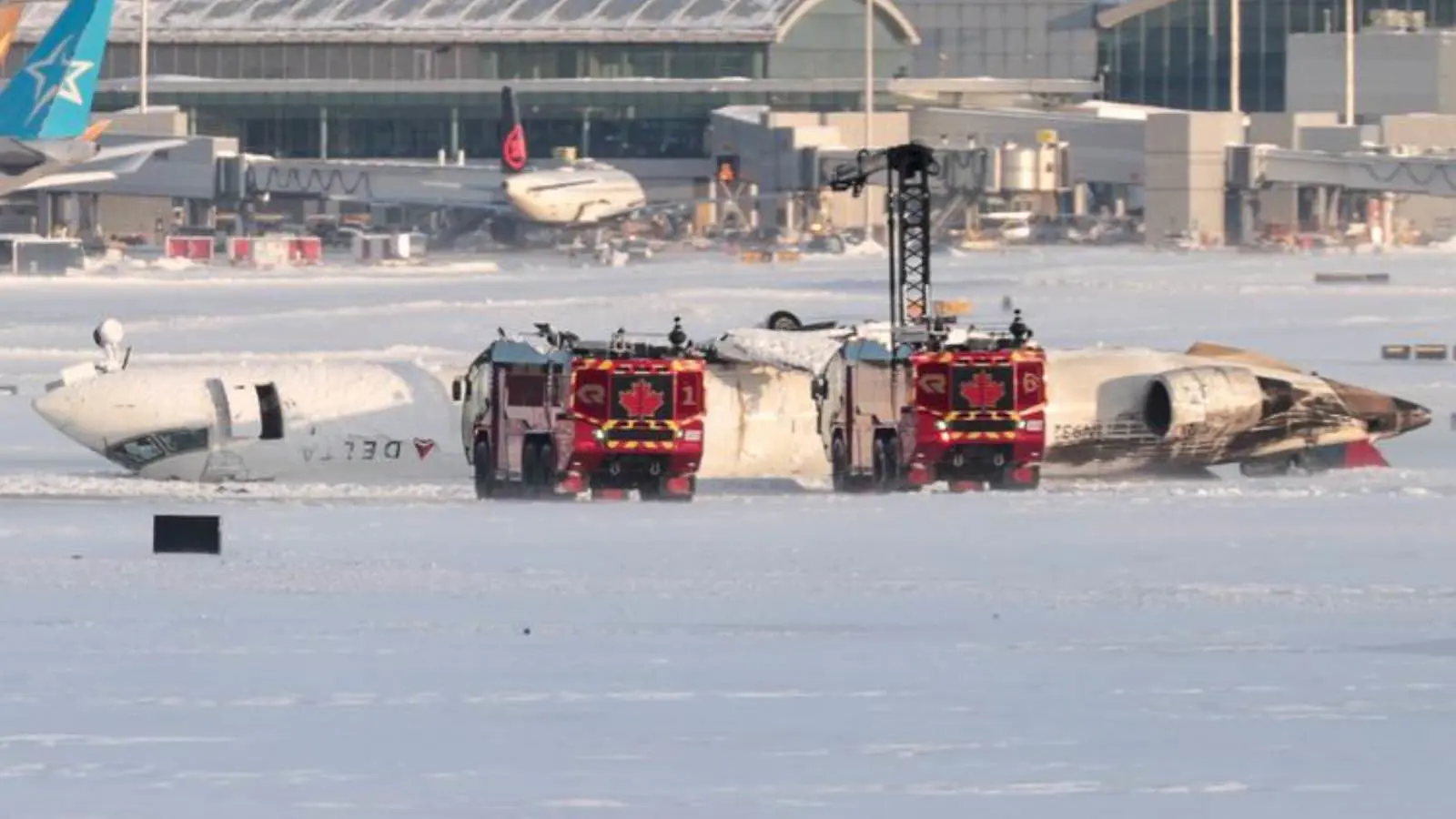 ناجٍ من تحطم طائرة دلتا يروي تفاصيل اللحظات العصيبة