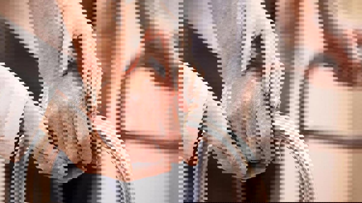 دار لرعاية المسنين تسمح لنزلائها بزيارة الفضاء