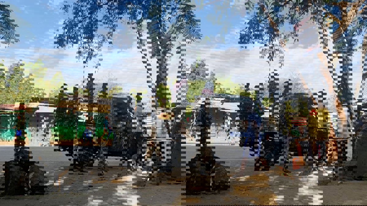 "الصحة العالمية": العنف في أمهرة الإثيوبية يعوق إيصال المساعدات