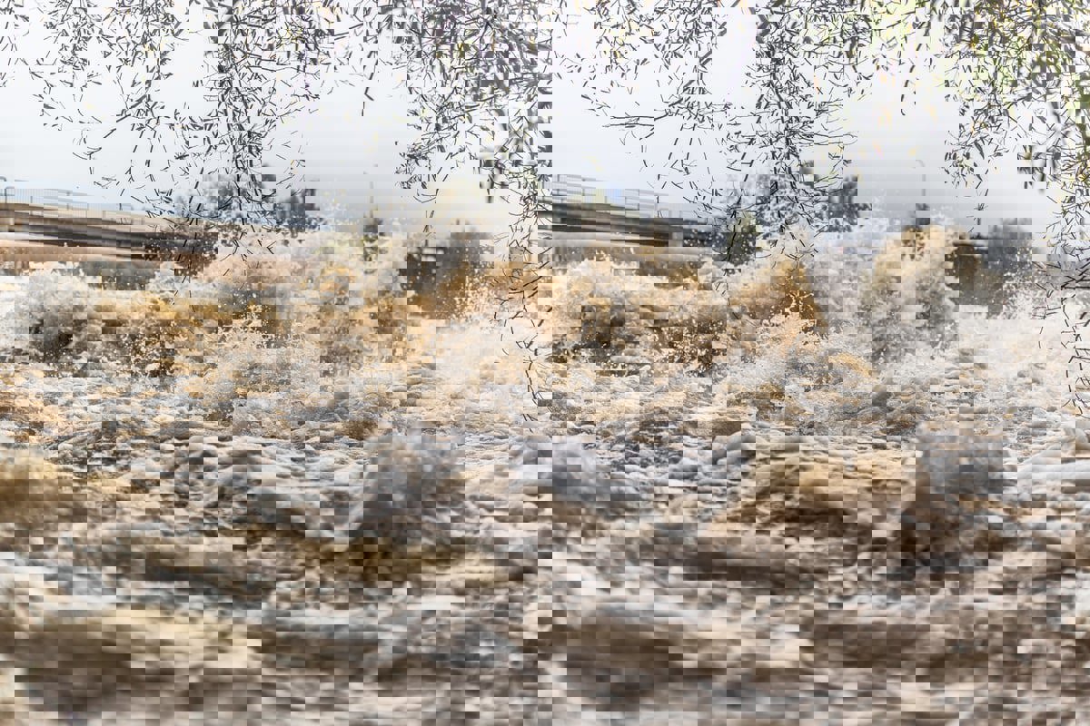 حضنوا بعضهم قبل الموت.. اللحظات الأخيرة لأصدقاء جرفهم الفيضان (فيديو)