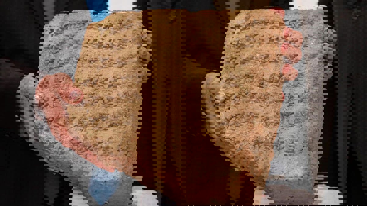  العراق يستعيد لوحة مسمارية عمرها 2800 عام من إيطاليا