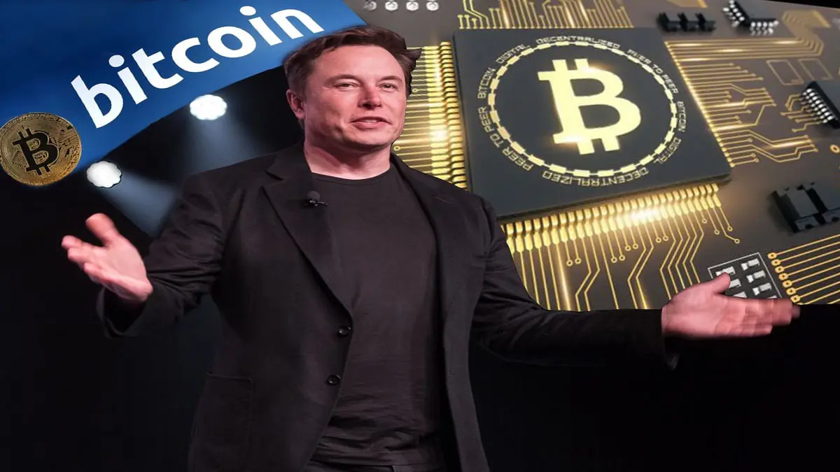 إيلون ماسك يقول إن بتكوين أفضل قليلا من حيازة النقد‎