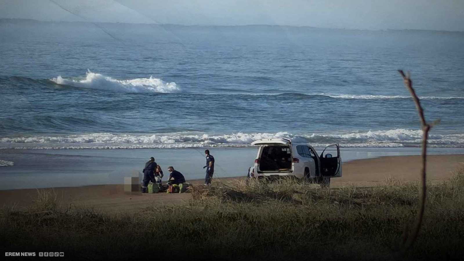 قرش الثور يروع شاطئ "نيو ساوث ويلز" ويقتل امرأة (فيديو إرم)