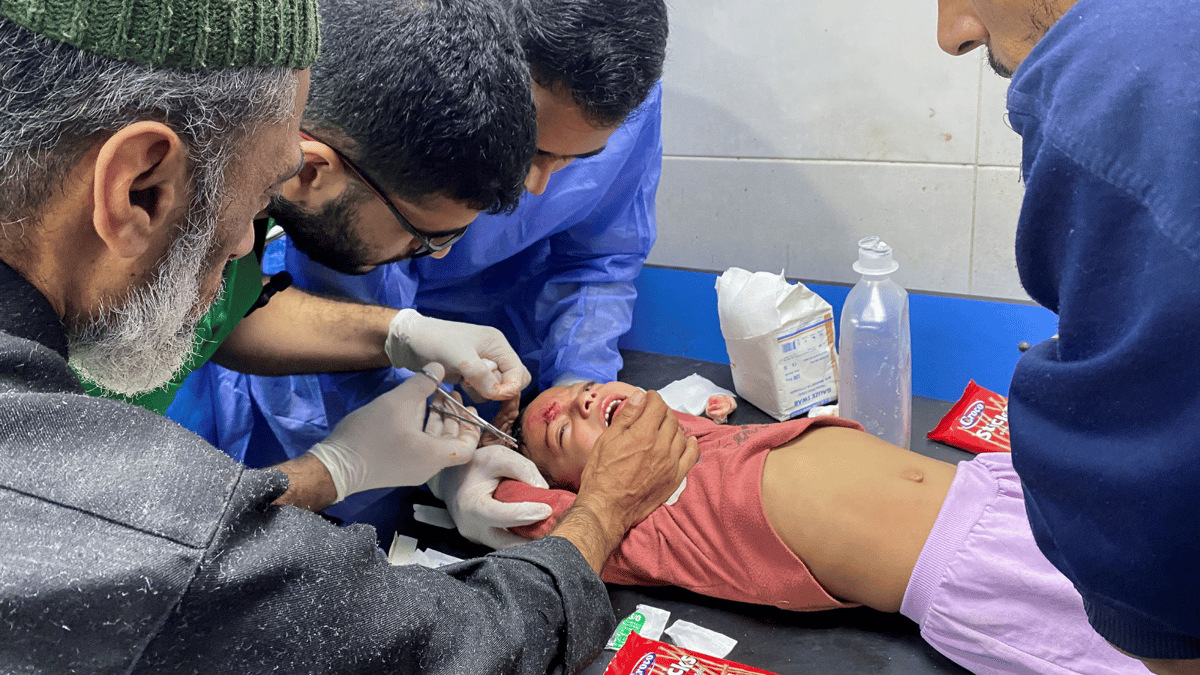 نبتة كادت تودي بحياة 12 طفلا بسبب نقص الغذاء في غزة