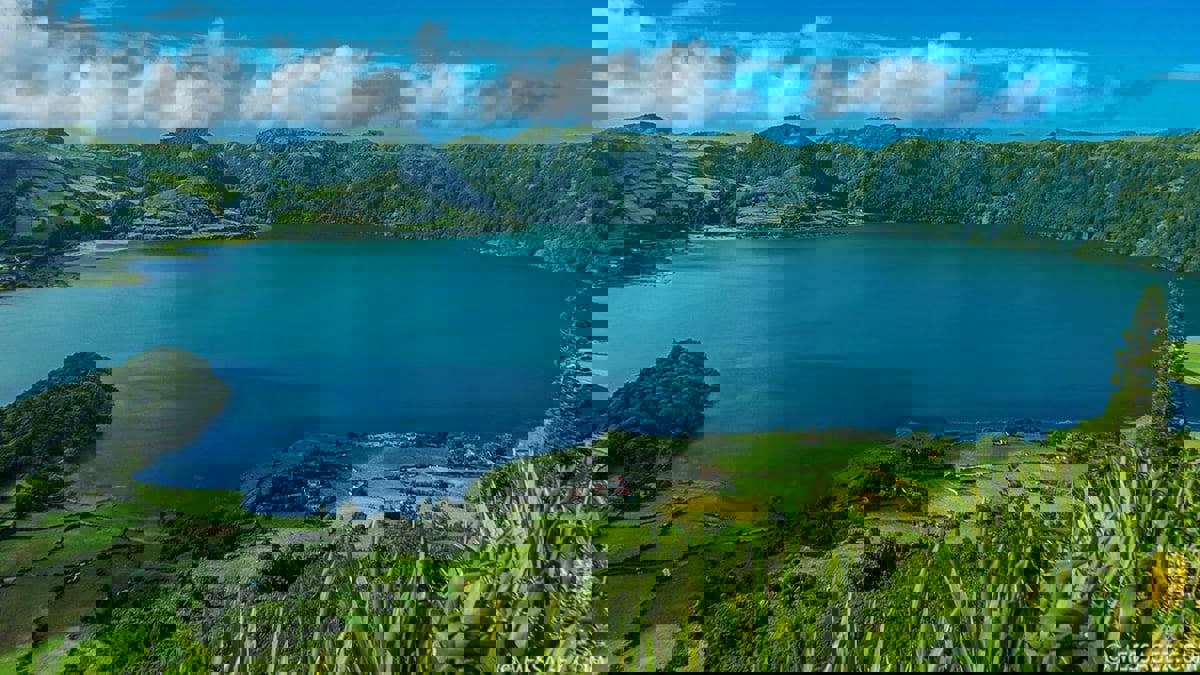 اكتشاف أنواع جديدة من المأكولات البحرية في جزر برتغالية