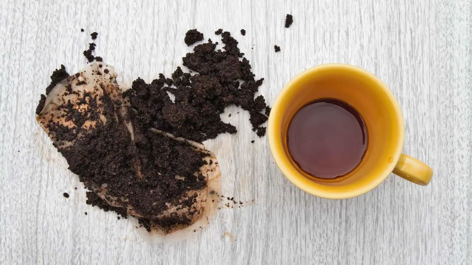 "قهوتك المحروقة" تجعل المباني أكثر متانة واستدامة