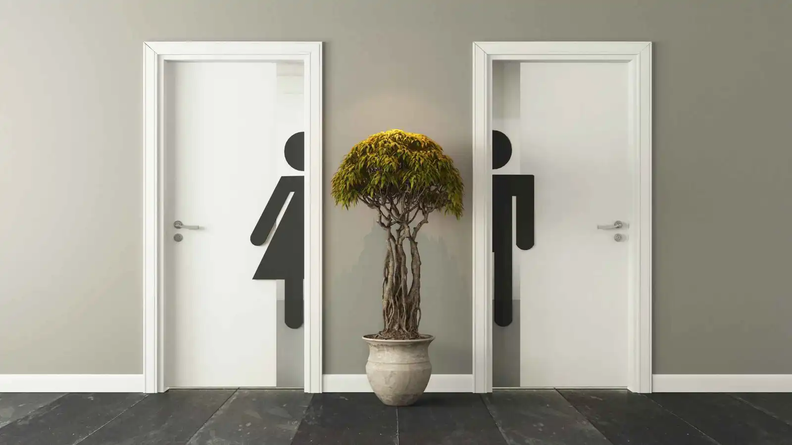 كم مرة يجب أن يقضي الإنسان الطبيعي حاجته يومياً؟