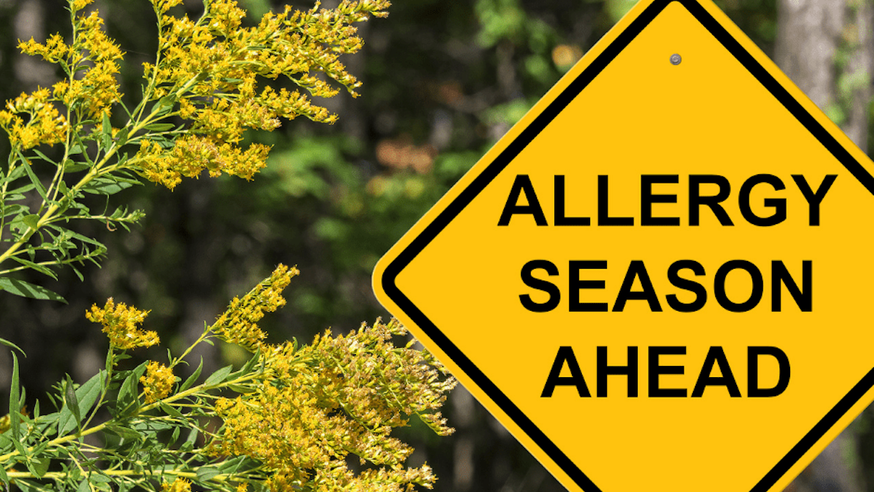 موسم الحساسية على الأبواب.. كيف تتجنّب أعراض حبوب اللقاح؟