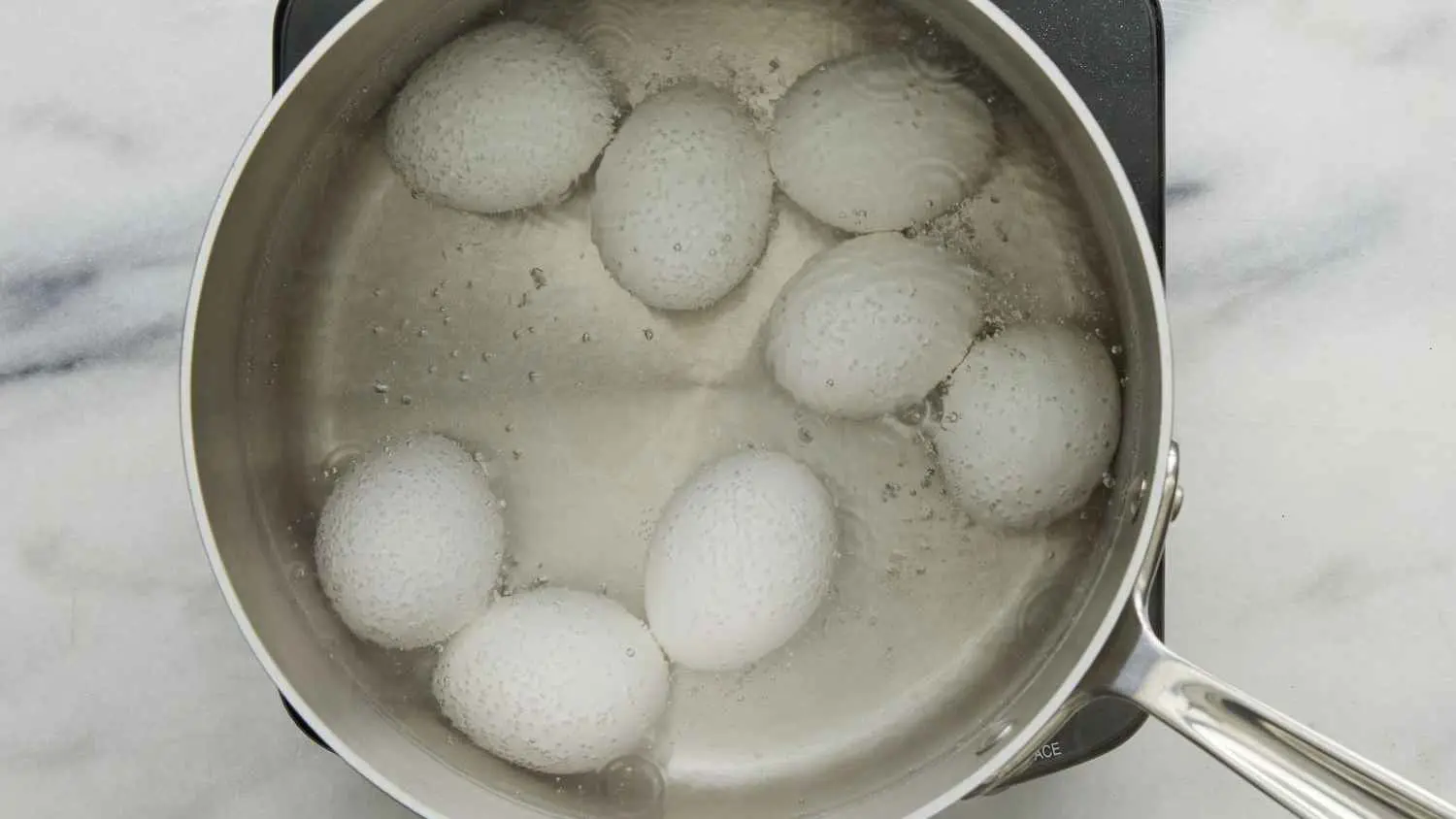 ماء سلق البيض.. فوائد مذهلة للتربة والنباتات