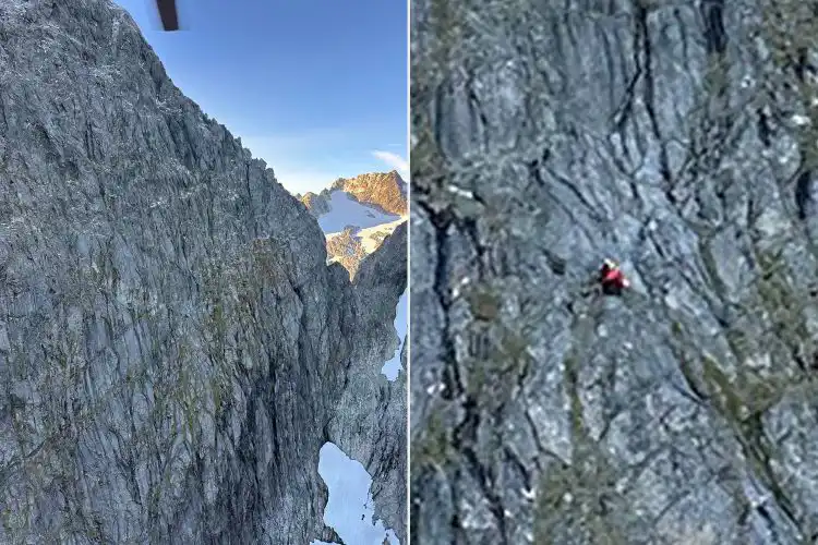 نشرت شرطة المنطقة الجنوبية في نيوزيلندا صوراً لعملية الإنقاذ