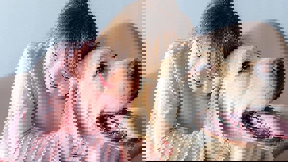 تعرف على أشهر سلالات الكلاب المحبوبة في العالم