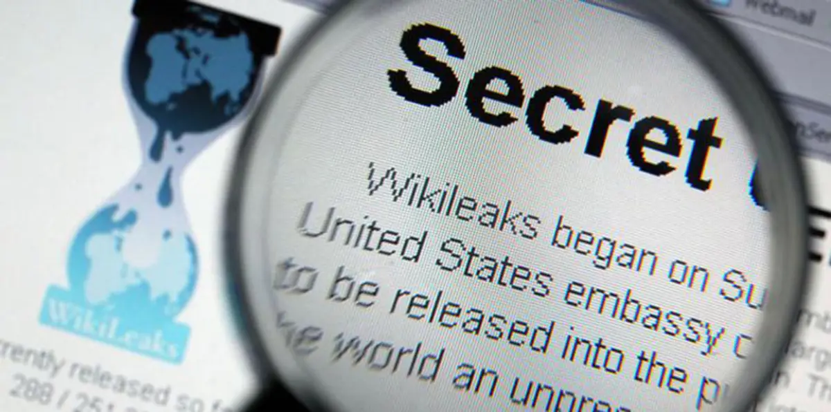 ويكيليكس تنشر تفاصيل شخصية لكل امرأة تقريبًا في تركيا