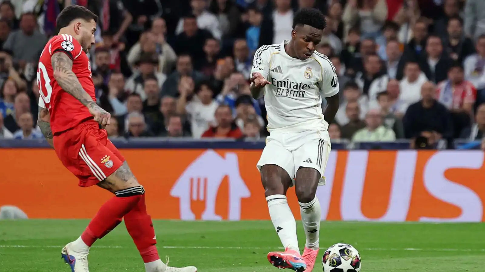 اعتذر.. قميص فينيسيوس يحرج نجم بنفيكا (فيديو)