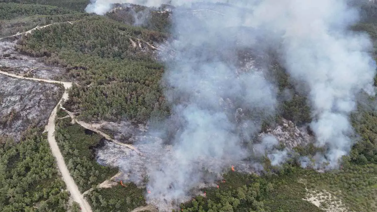 حرائق ريف اللاذقية.. تحديات تواجه عمليات السيطرة على النيران (صور)