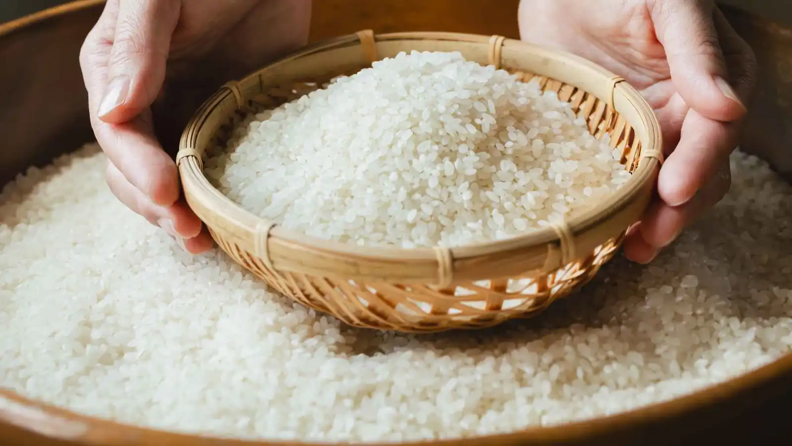 أنواع الأرز الأكثر احتواءً على الزرنيخ.. كيف تتجنبها؟