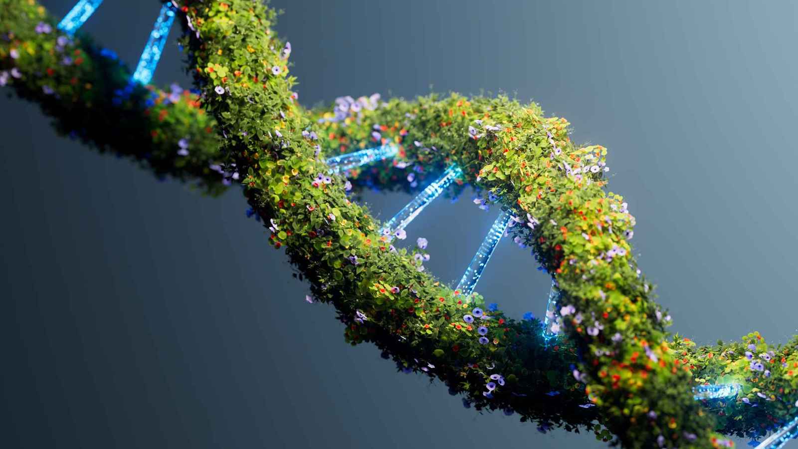 "الغراء الذهبي".. اكتشاف بروتين يبطئ الشيخوخة