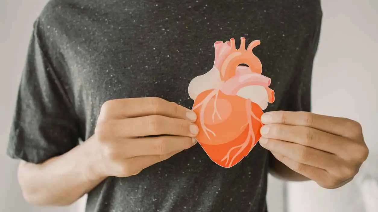 قلب صناعي لمراقبة الأدوية دون مخاطر على البشر