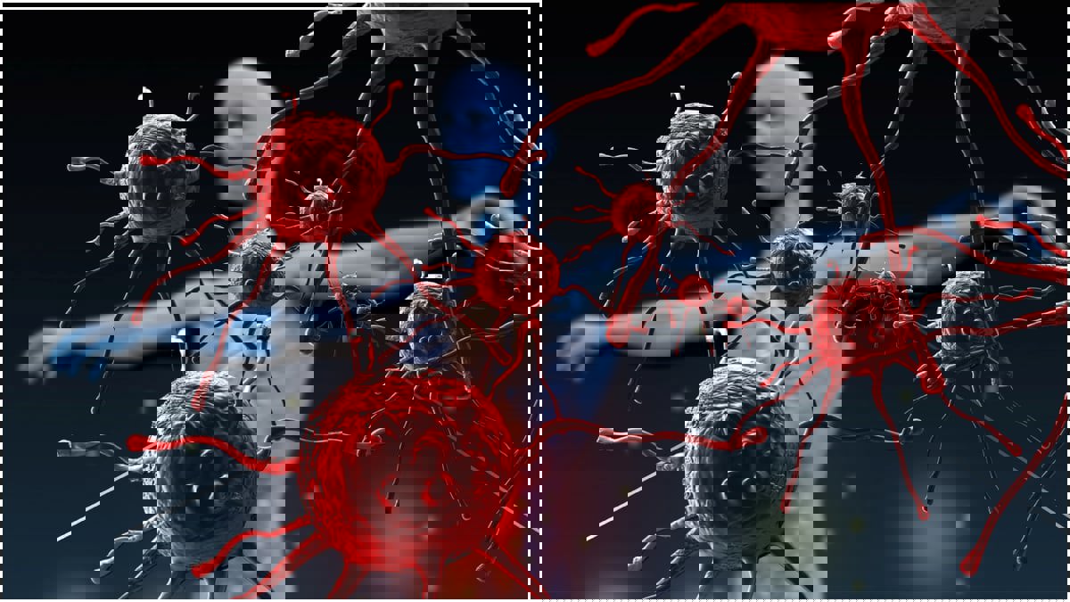 كيف تتعرف الخلايا التائية المناعية على أعدائها؟