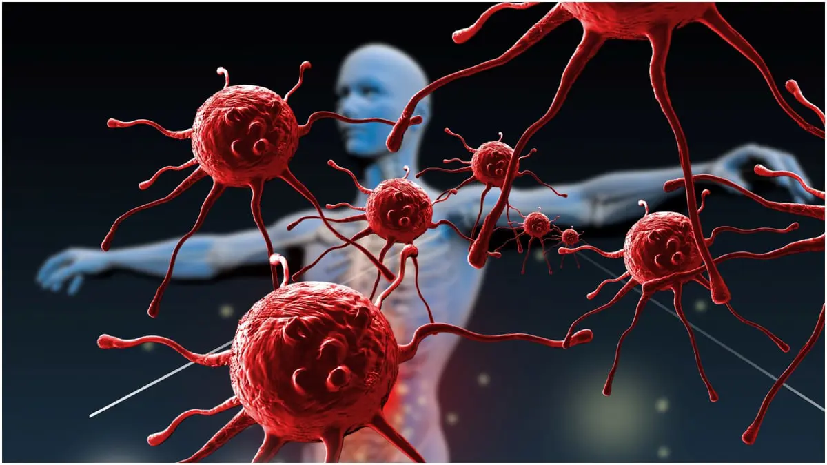 كيف تتعرف الخلايا التائية المناعية على أعدائها؟