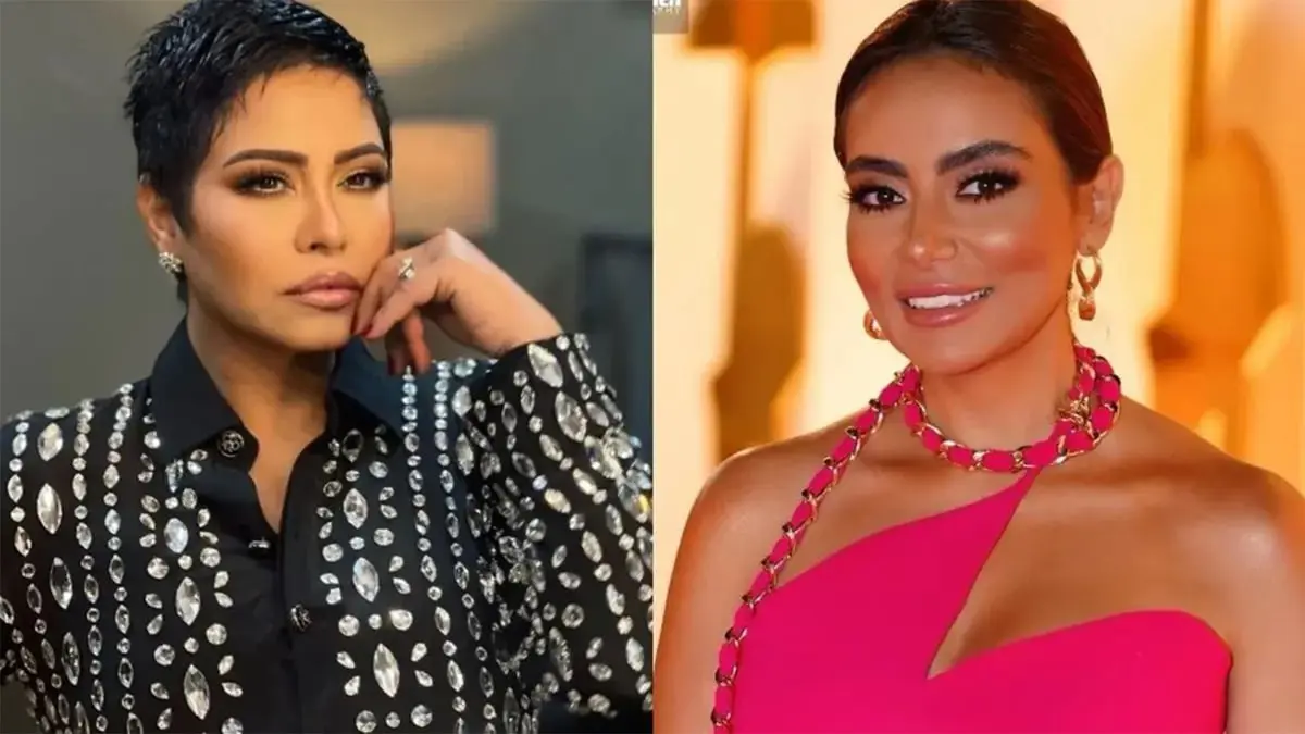 سارة الطباخ: شيرين "انسحلت من بيتها حافية"