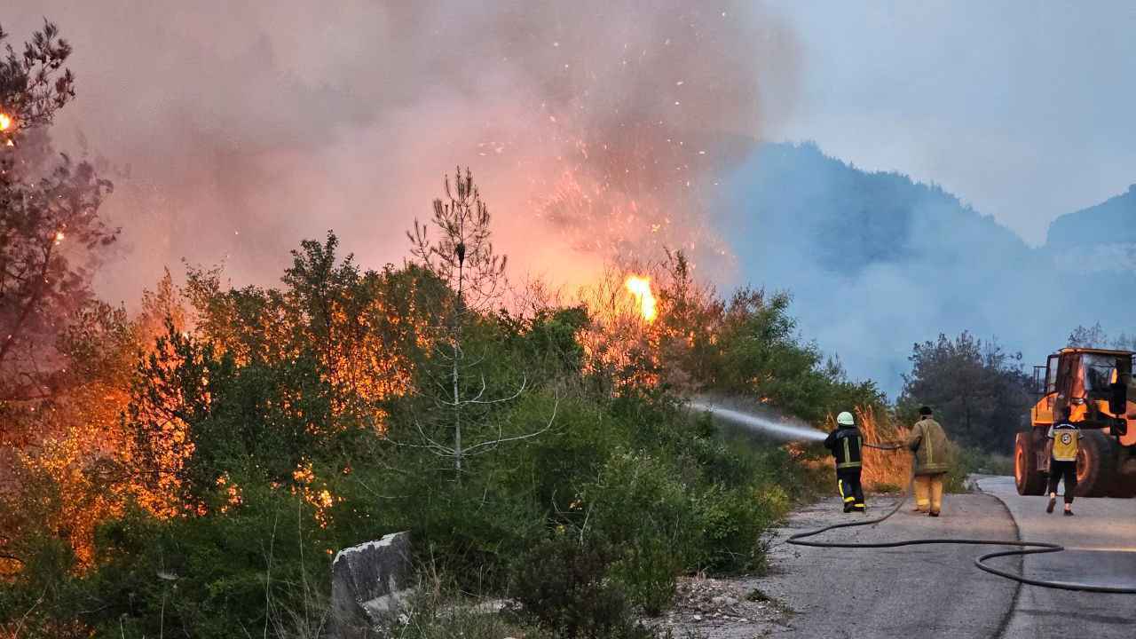 حريق ضخم يضرب غابات "السفكون" بريف اللاذقية (فيديو وصور)