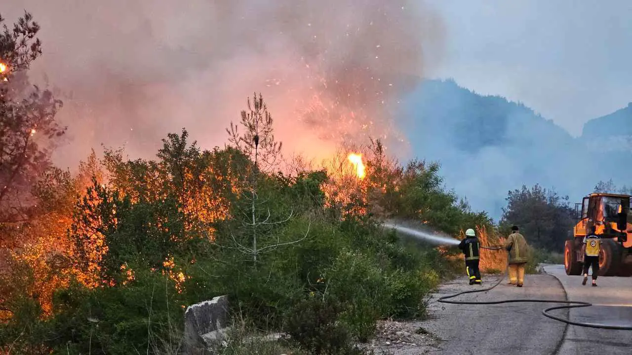 حريق ضخم يضرب غابات "السفكون" بريف اللاذقية (فيديو وصور)