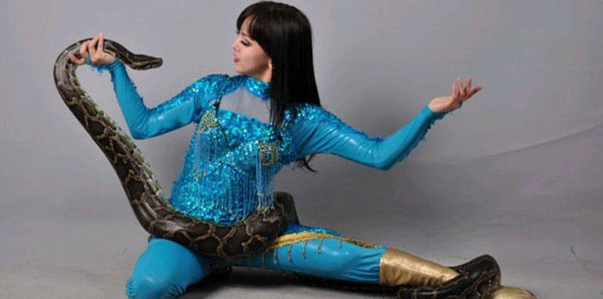 كوبرا تقتل فنانة إندونيسية على خشبة المسرح