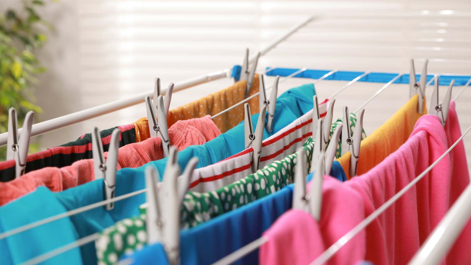 "خطير".. تعليق الغسيل داخل المنزل قد يهدد صحتك