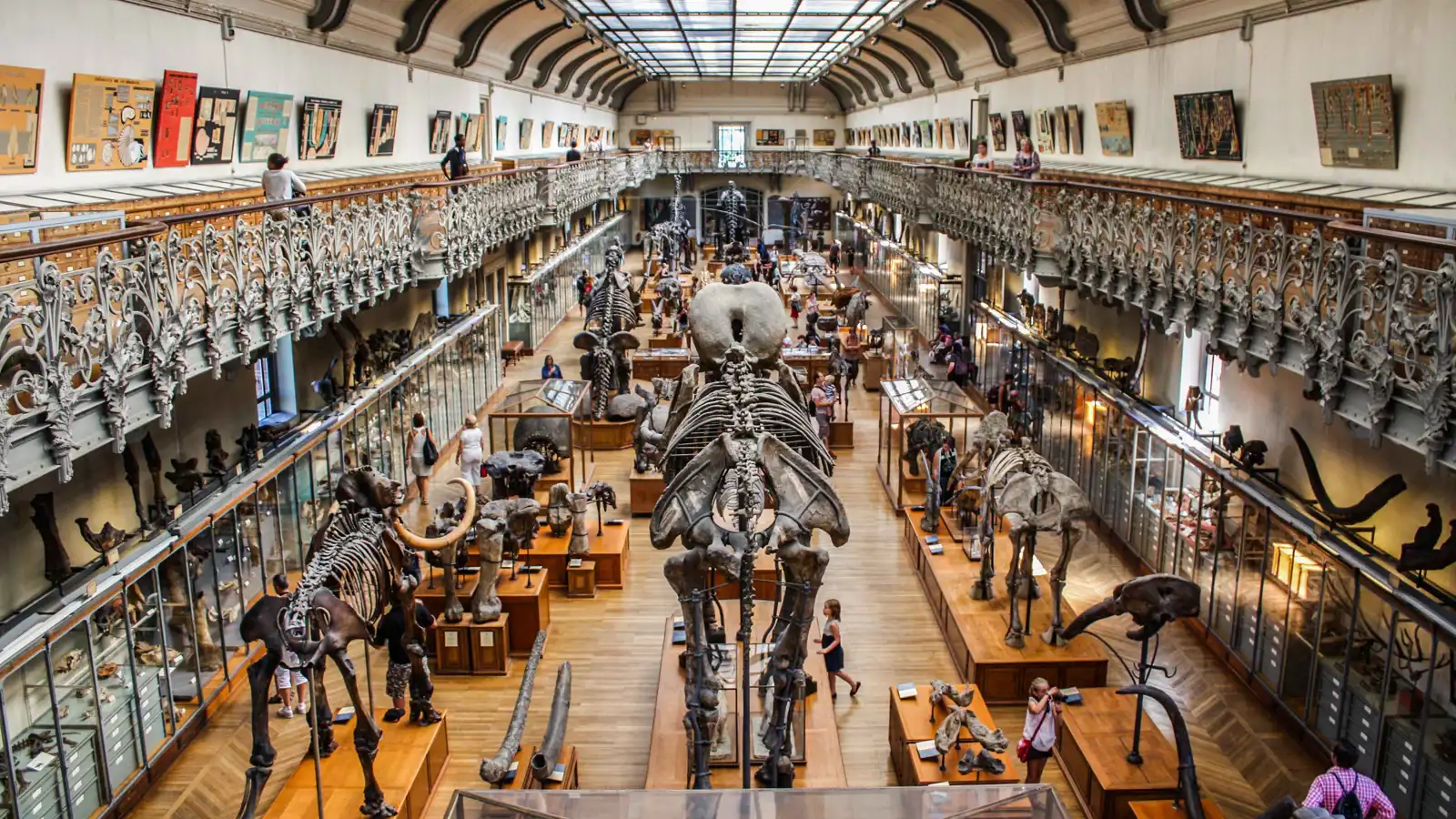 سرقة ذهبيّة بقيمة 700 ألف دولار بمتحف في باريس